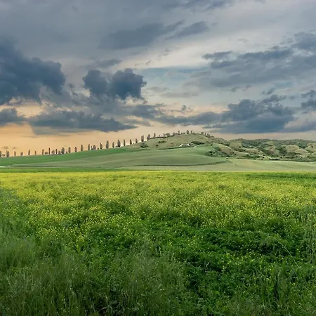 Tuscany Balcony: Crete Senesi *